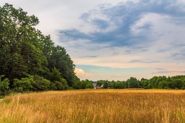 Yeşil çimenlerle ve bulutlu gökyüzüyle güzel bir manzara.