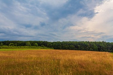 Güzel yaz alan manzara