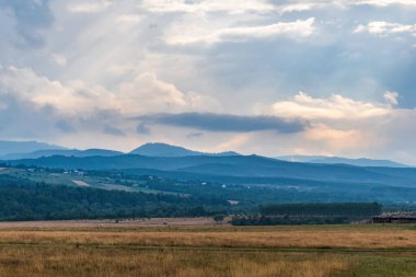 Buğday tarlası olan güzel bir manzara.