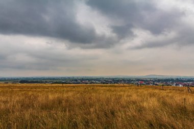 Hollanda 'nın kırsal kesiminin manzarası