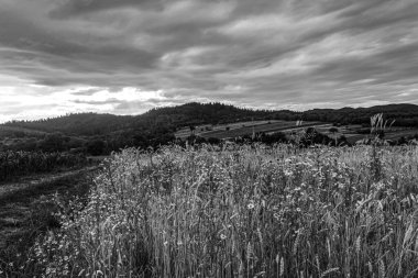 Kırsal kesimde siyah beyaz bulutlar