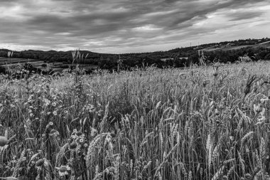 İspanya kırsalının manzarası