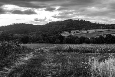 Terk edilmiş bir evin siyah beyaz fotoğrafı.