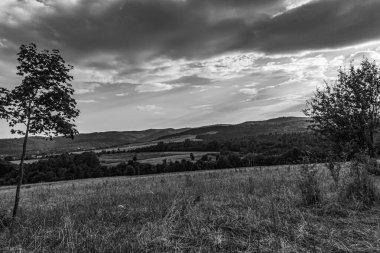 Karpatlar 'ın dağlarındaki manzara