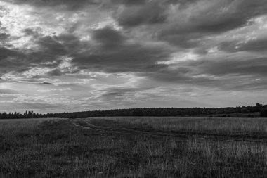 Tarlada bir ağacı olan güzel bir manzara.