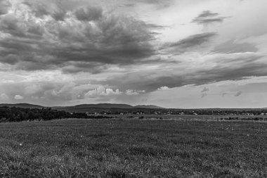 Gri tonlu güzel bulutlu bir gökyüzünün çimen tarlasında görüntüsü.