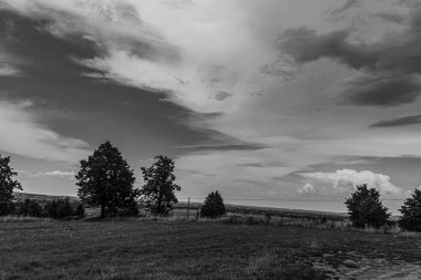 Ağacı ve bulutlu gökyüzü olan güzel bir manzara.