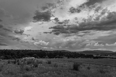 Ağaçlı ve bulutlu güzel bir manzara.