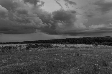 Orman, Karpatlar, Doğa Fotoğrafları - Avrupa, Doğu Avrupa, Romanya - Canon EOS 4000D Lens: EF-S 18-55 mm f / 3.5-5.6 is II