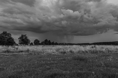Fırtına bulutları tarlanın üzerinde