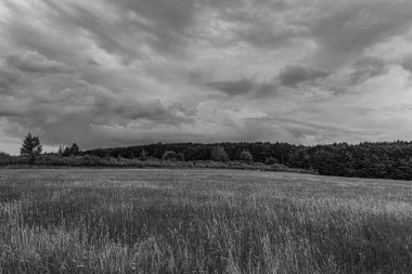 Bulutlu bir arkaplanı olan güzel bir saha görüntüsü.