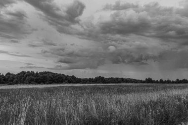 Bulutlu bir gökyüzü ve bulutlu bir arkaplanı olan gri ölçekli bir alan görüntüsü