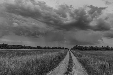 Tarlaların ve ağaçların arasından geçen yolun dikey görüntüsü.