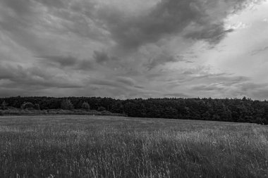 Almanya 'da bulutlu bir gökyüzünün altında gri tonda bir çekim.