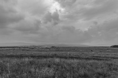 Ağacı ve gölü olan güzel bir manzara.