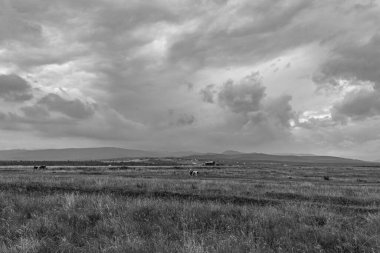 Bulutlu gökyüzü ile güzel bir manzara