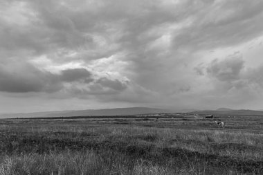 Bulutlu gökyüzü ile güzel manzara