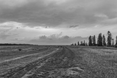 Kırsal bir yol üzerinde fırtına bulutları