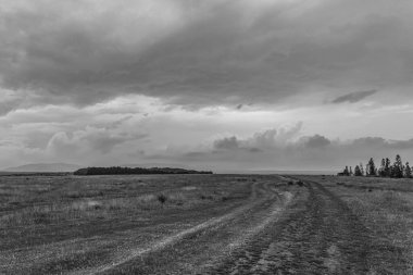 Kırsalda bulutlu bir tarlanın güzel manzarası