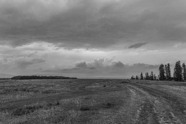 Yazın tarlanın üzerinde fırtına bulutları