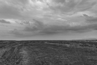 Bulutlu bulutlu gökyüzünün altındaki bir alanın gri tonlu görüntüsü.