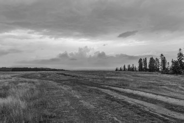 Kırsaldaki bir çimen tarlasının siyah beyaz fotoğrafı