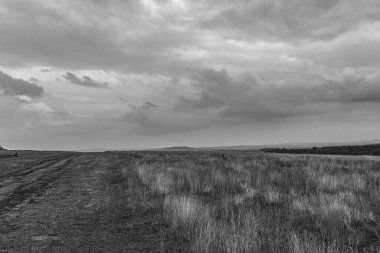 Doğanın güzel manzarası