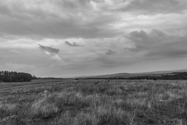 Dağlarda siyah beyaz bulutlar