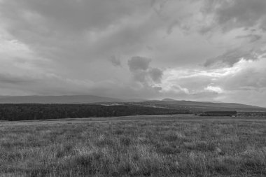 Siyah ve beyaz fırtına bulutları bir orman üzerinde
