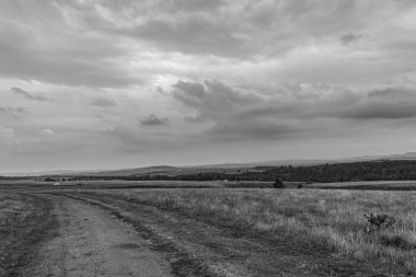Bulutlu bir tarlası, bulutlu bir gökyüzü ve yolu olan güzel bir manzara.