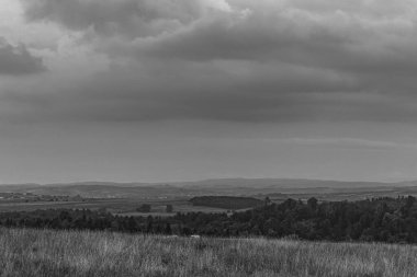 Ağacı ve bulutlu gökyüzü olan güzel bir manzara.