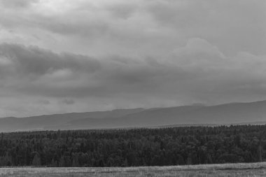 Karpatlar 'daki siyah beyaz dağlar