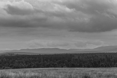 Dağlarda ağaçlar olan güzel bir manzara.