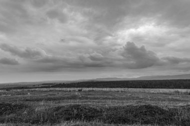 Bulutlu gökyüzü olan güzel gri tonlu bir tarla.