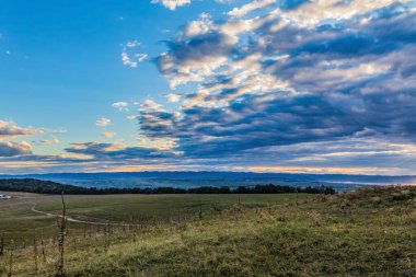a beautiful shot of a landscape with a field of trees and cloudy sky