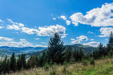 beautiful landscape on the mountain of the carpathian mountains