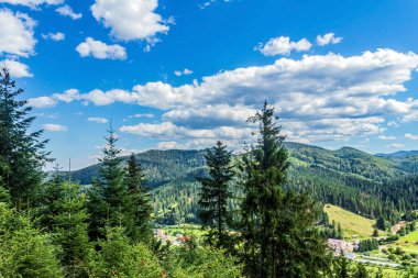 Yazın Karpat Dağları