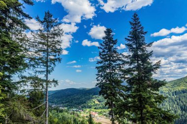 Yazın dağlarda. Karpatlar.