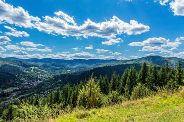 Karpat Dağlarının yaz manzarası