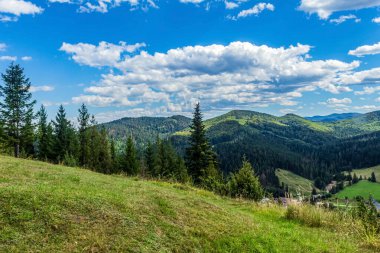 Dağları ve ormanı olan güzel bir manzara.