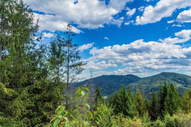 Dağın tepesinden manzara