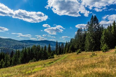 a beautiful view of a mountain landscape with trees in the foreground