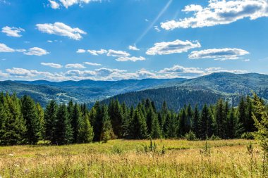 Karpat dağlarındaki dağ manzarası