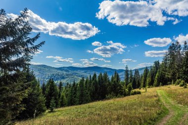 güzel yaz yeşil ağaçlar ve mavi gökyüzü, yatay