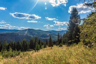 Ormandaki dağların güzel manzarası
