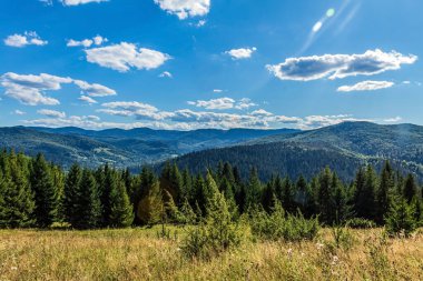 beautiful landscape in the carpathian mountains. sunny day.