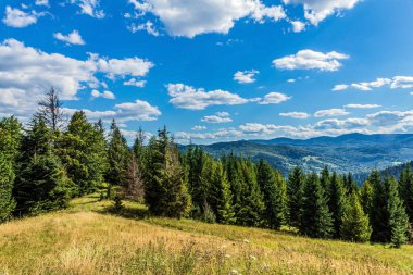 Yaz aylarında Karpat Dağları