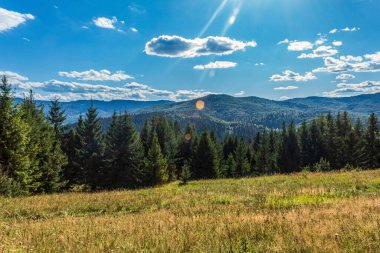 Ormandaki dağ sıraları.