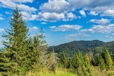 Dağ sırası olan güzel bir manzara.