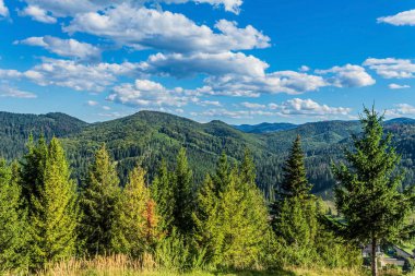 Karpatlar 'daki güzel yaz dağ manzarası